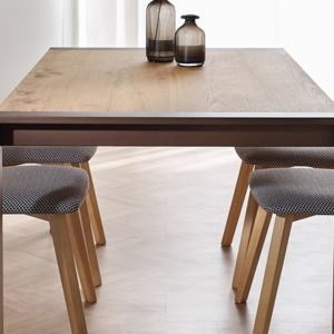 MESA DE COMEDOR 26.18