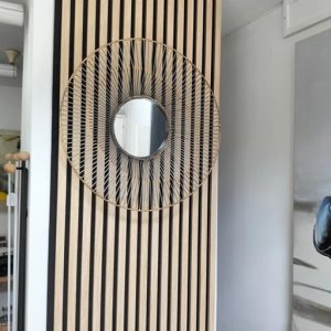 Panel acustic